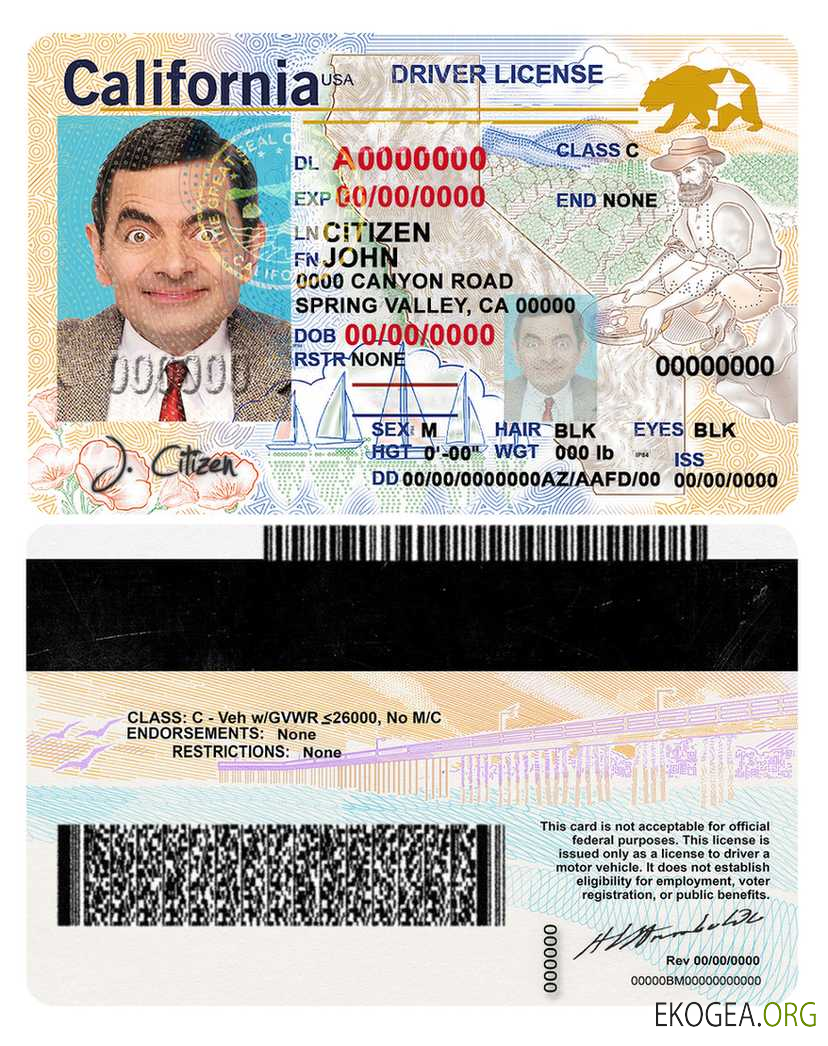 USA state California driving license template in PSD format (2018, January – present)